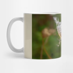 Withering Queen Annes Lace Mug